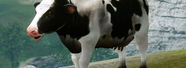 Ездовая корова
